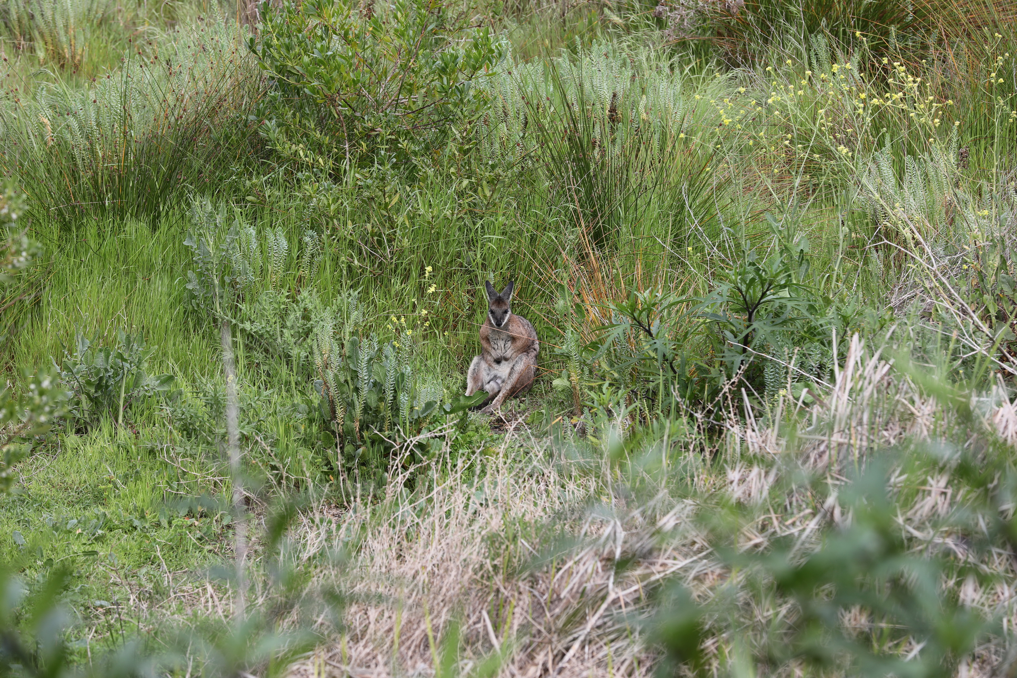 2019 10 07 15 06 04 Canon EOS 5D Mark IV 0024